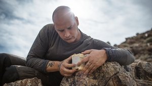Espécies Raras: 1×2