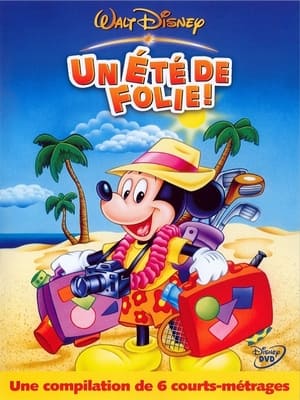 Poster Un été de folie! 2006