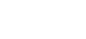 A Star Is Born