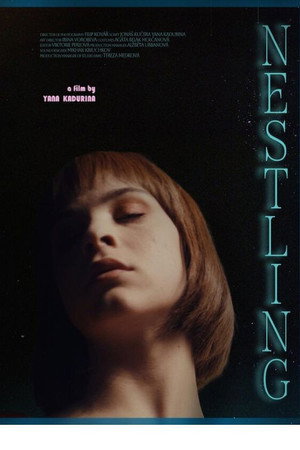 Nestling 2