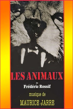 Poster Les animaux 1963