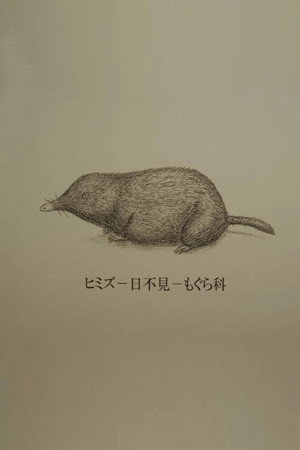 Himizu 103