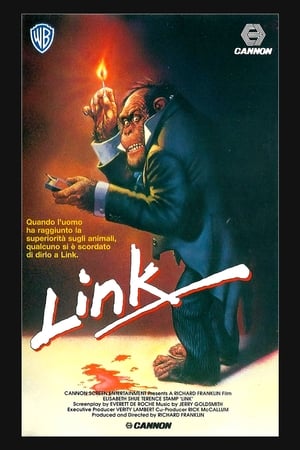 Poster di Link