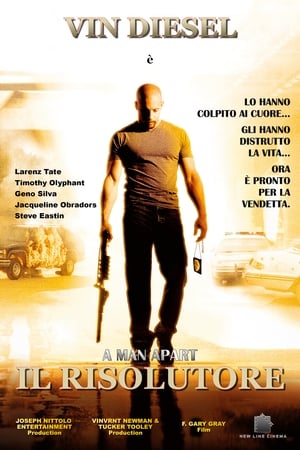 Poster Il risolutore 2003