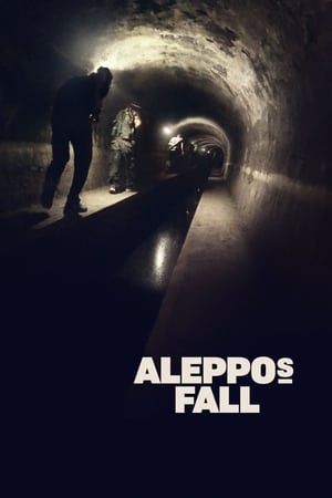 Poster Aleppos fall 2017