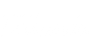 Dear Dakanda — Logos 3