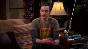 The Big Bang Theory 5×13