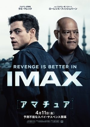 poster The Amateur
