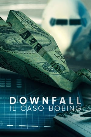 Poster Downfall: il caso Boeing 2022