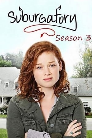 Suburgatory: Saison 3