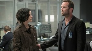 Blindspot: 1×8