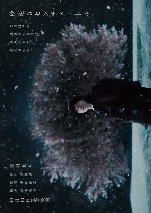5 Centimeters per Second 30