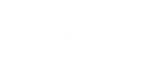 孤注一掷 — Logos 5