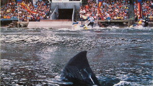 Jaws 3-D 50