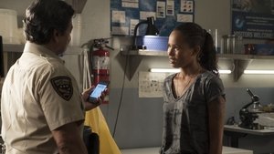 Siren: Stagione 1 x Episodio 4