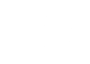 The Leaking Bookstore — Logos 2