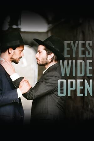 Poster Eyes Wide Open 2009