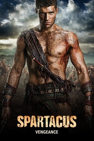 Saison 2 : Vengeance