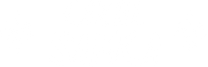 Cazul Samca — Logos 1