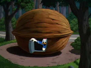 Donald fait son beurre