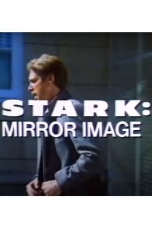 Image Stark: Mirror Image