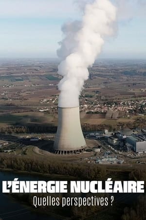 Poster The Future of Nuclear Energy (2022)