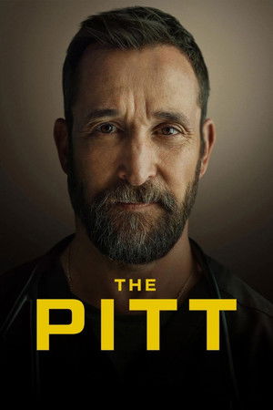 poster The Pitt
