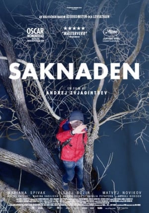 Saknaden 2017