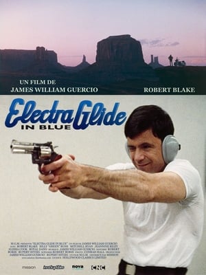 Poster Electra glide in blue 1973
