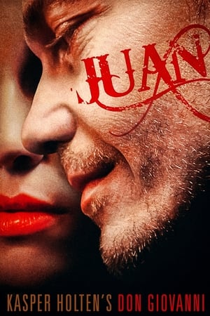 Poster Juan 2011