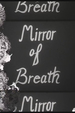 Mirror of Breath
