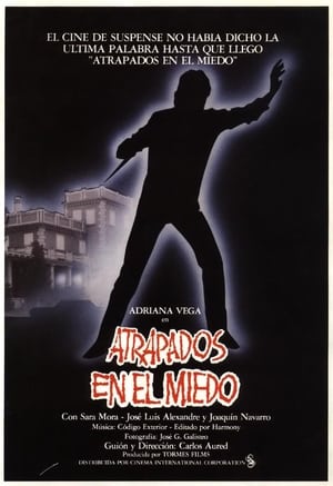 Atrapados en el miedo poster