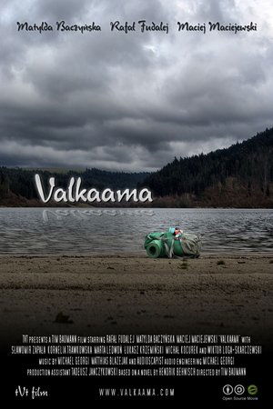 Poster Valkaama (2010)