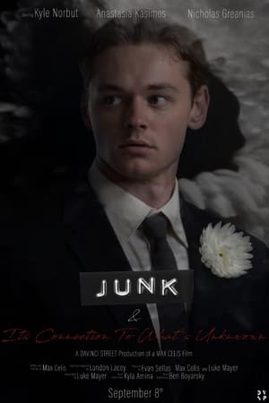 Poster JUNK & Its Connection to What's Unknown (2021)