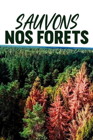Sauvons nos Forêts 10