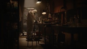 Episodio 224