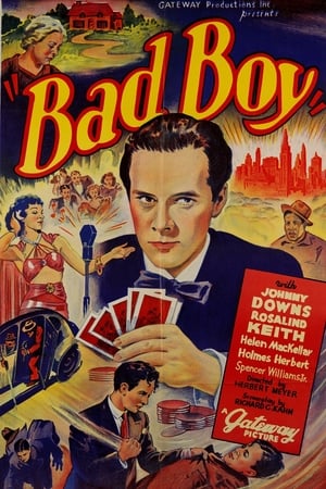 Bad Boy poster