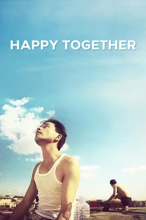 Poster Happy Together 1997