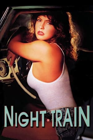 Poster Night Train 1993