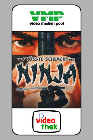 Shaolin vs. Ninja 10