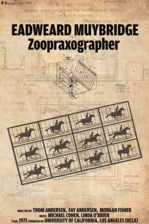 Eadweard Muybridge, Zoopraxographer 6