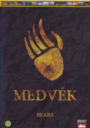 Image Medvék