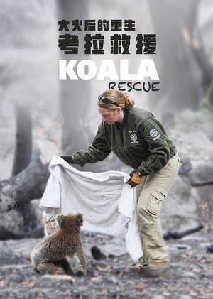 Poster Koala Rescue 2020