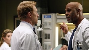 Grey’s Anatomy: Stagione 10 x Episodio 16