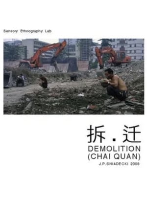 Demolition film complet