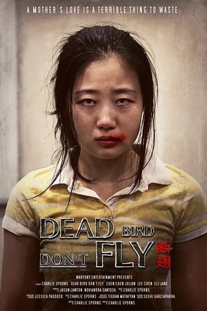 Poster Dead Bird Don't Fly (2015)
