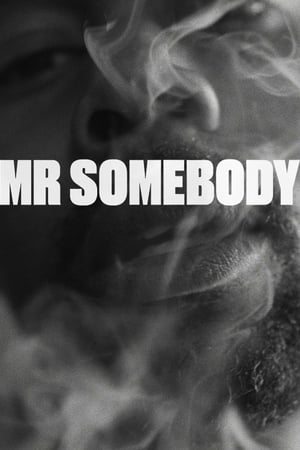 Poster Mr Somebody (2019)