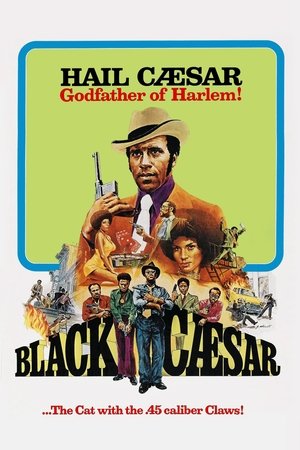 Black Caesar 1973 1080p BRRip H264 AAC-RBG