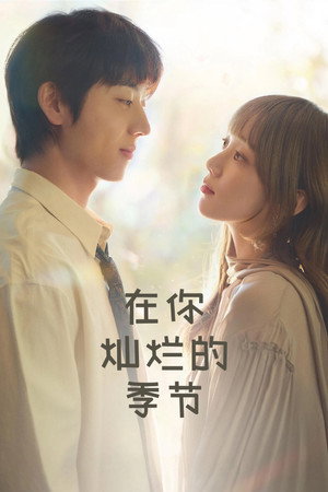 Image 在你灿烂的季节