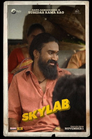 Skylab 19